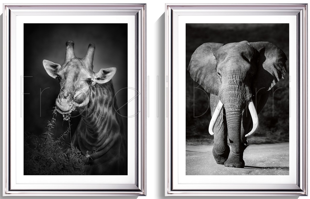 Википедия Википедия